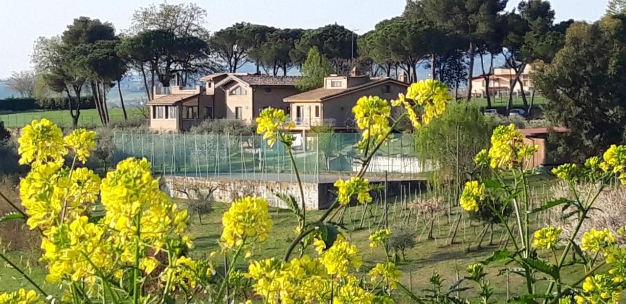 Bed and Breakfast La Casa Nella Prateria Misano Adriatico Exterior foto